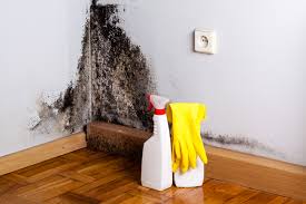 Best Mold Damage Restoration in Perryville, MO